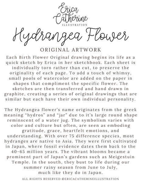 Hydrangea Flower Original