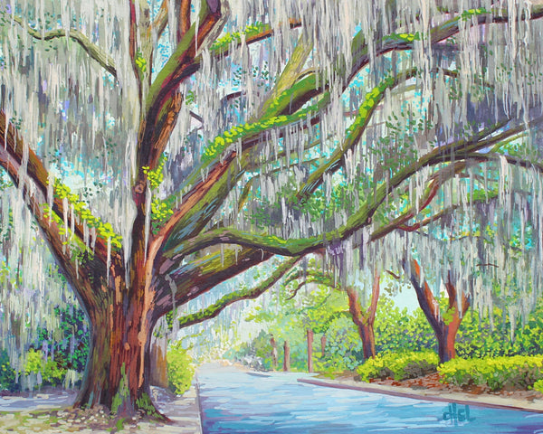 Live Oaks on 45th St. L Print