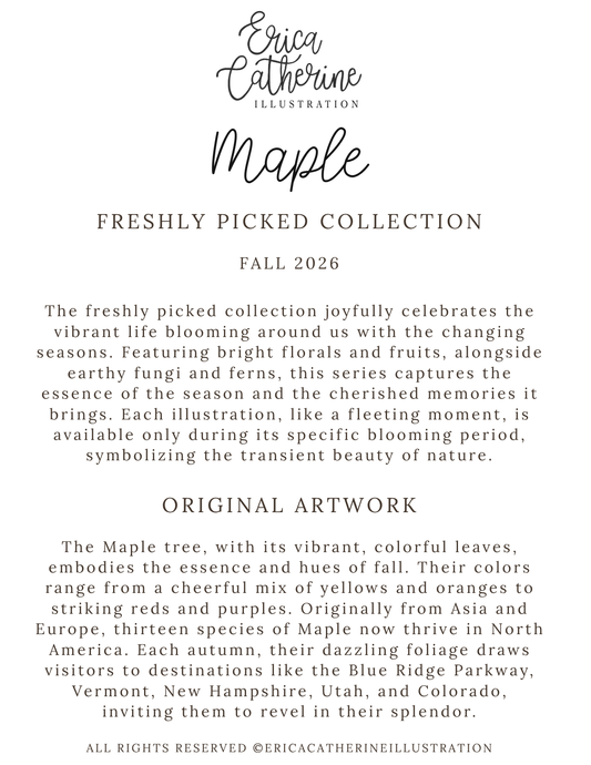 A digital graphic card for Erica Catherine Illustration featuring the 'Maple Freshly Picked Collection' fall 2026 art print series. The card displays elegant typography with a black script logo at the top, followed by descriptive text about the 'Freshly Picked Collection' and 'Original Artwork' on a solid white background.