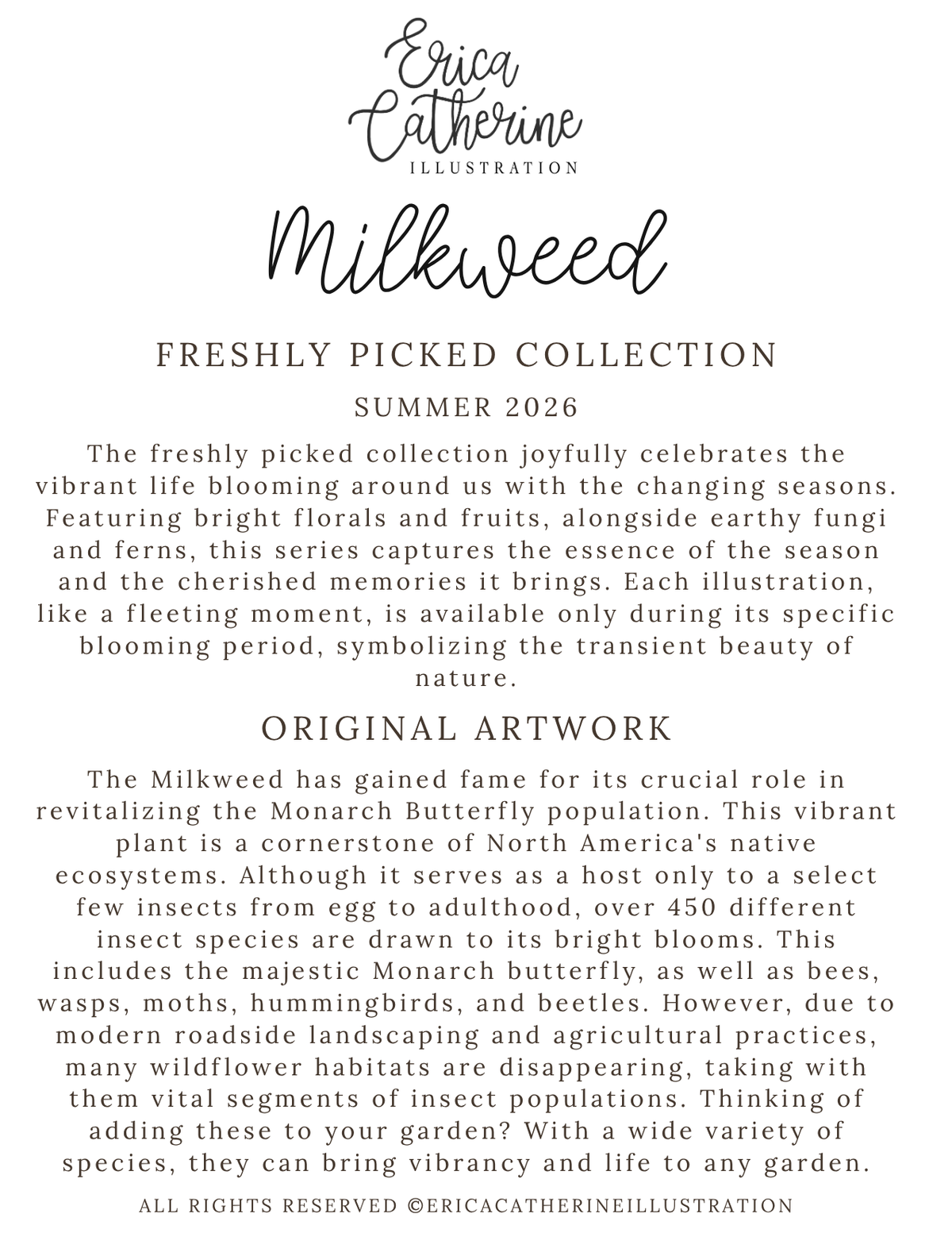 A text-based promotional graphic for Erica Catherine Illustration's Millweed Freshly Picked Collection Summer 2026, featuring descriptions of the collection and original artwork on a light gray background.
