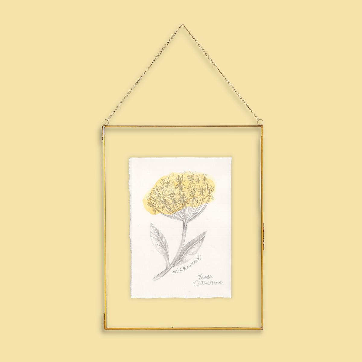 A framed botanical art print of a yellow milkweed flower, hanging from a thin gold wire frame against a solid pale yellow background.