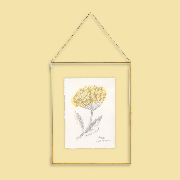 A framed botanical art print of a yellow milkweed flower, hanging from a thin gold wire frame against a solid pale yellow background.