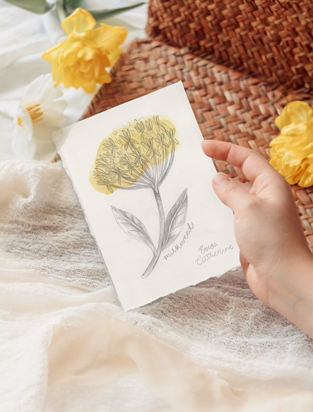 A hand holds a small artwork featuring a yellow Milkweed flower illustration, styled on soft cream fabric with yellow flowers and a woven brown mat in the background.
