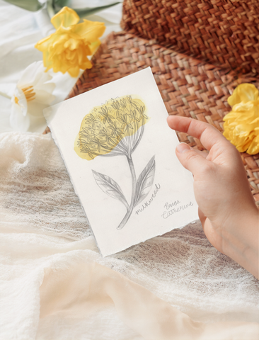 A hand holds a small artwork featuring a yellow Milkweed flower illustration, styled on soft cream fabric with yellow flowers and a woven brown mat in the background.