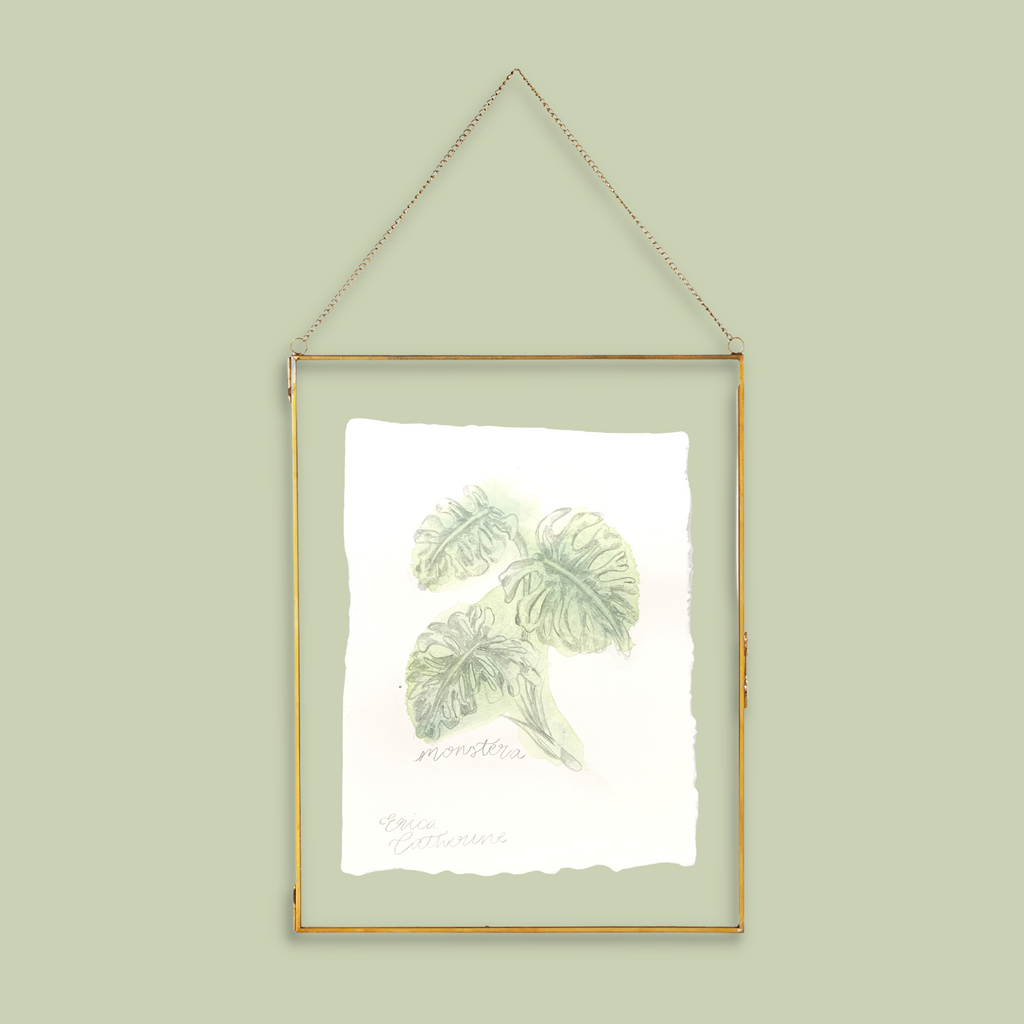 Monstera Plant Original