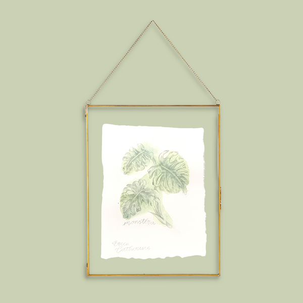 Monstera Plant Original