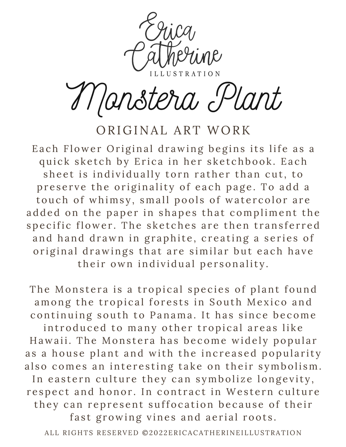 Monstera Plant Original