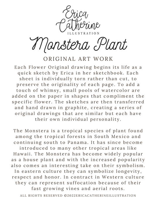 Monstera Plant Original