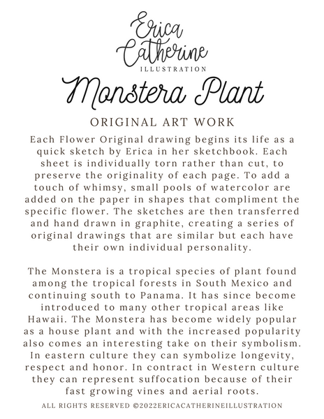 Monstera Plant Original