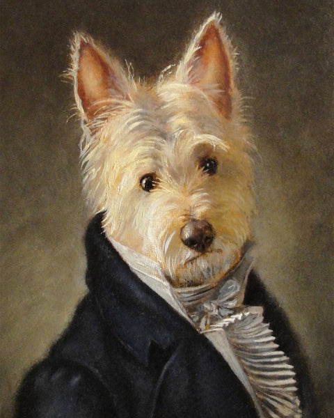 Mr Darcy Westie Print