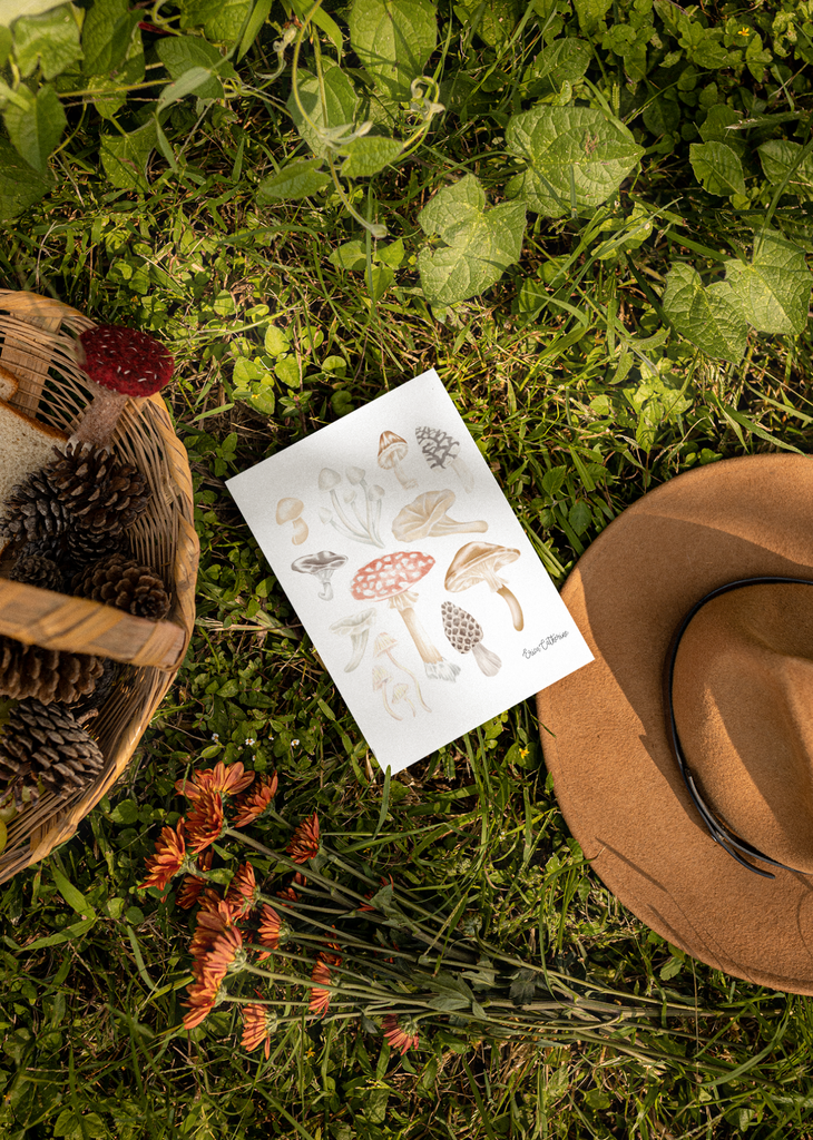 Mushroom Chart Print