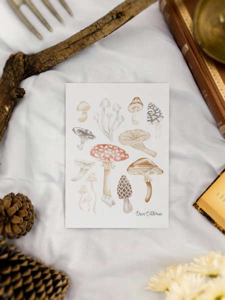 Mushroom Chart Print