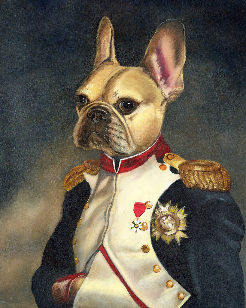 Napoleon French Bulldog Print