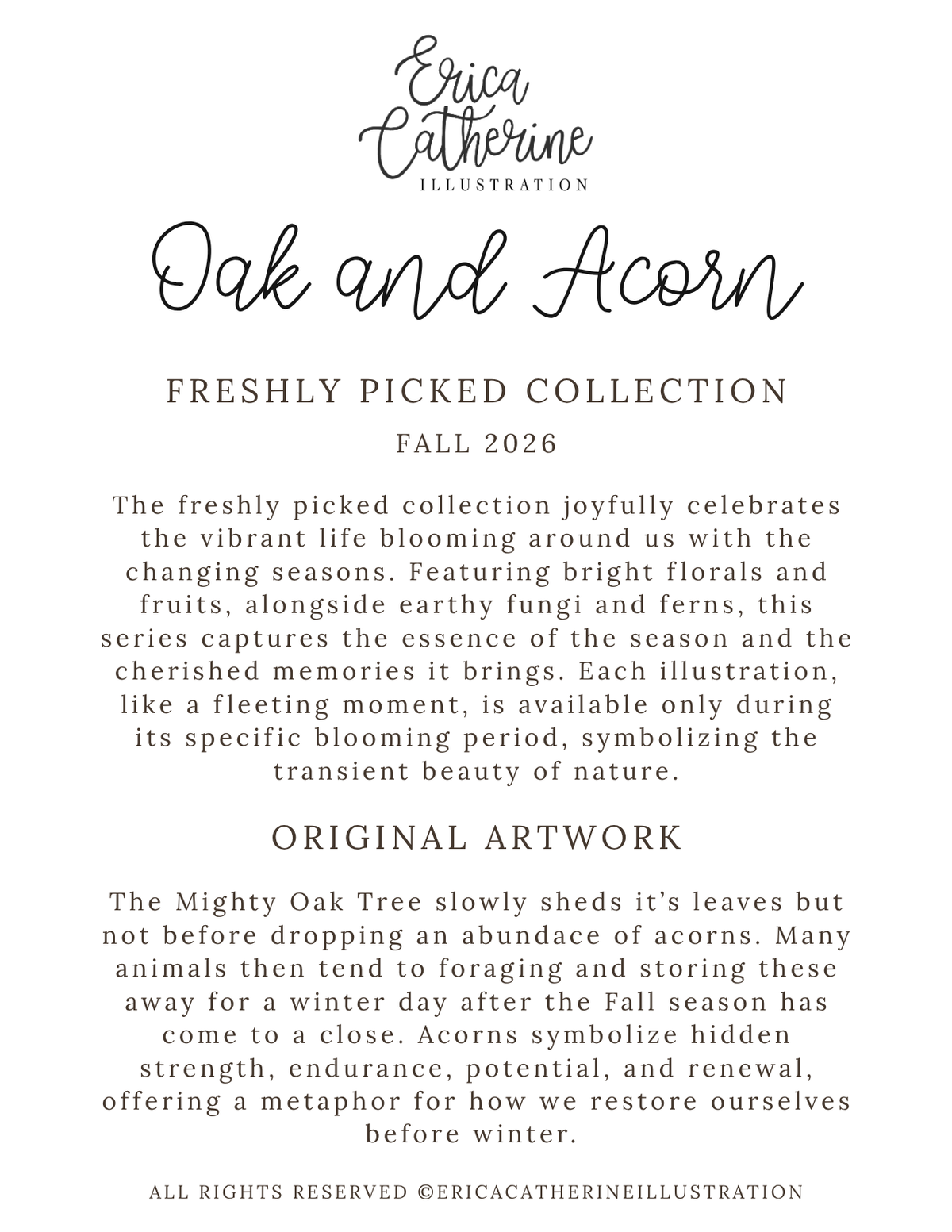 A text-based promotional graphic with the title 'Oak and Acorn' and the name 'Erica Catherine Illustration' at the top, followed by paragraphs describing a 'Freshly Picked Collection' for Fall 2026 and sections for 'Original Artwork' and 'All Rights Reserved.'.