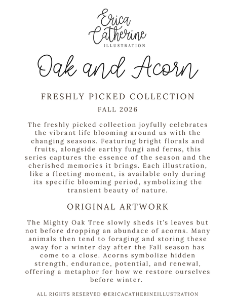 A text-based promotional graphic with the title 'Oak and Acorn' and the name 'Erica Catherine Illustration' at the top, followed by paragraphs describing a 'Freshly Picked Collection' for Fall 2026 and sections for 'Original Artwork' and 'All Rights Reserved.'.