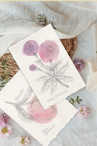 Two botanical art cards with watercolor illustrations of Zinnia flowers and leaves, styled on a soft white fabric with small pink flowers and woven mats.