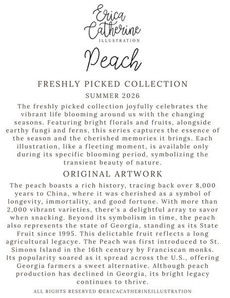 A digital graphic card displaying the cover of Erica Catherine Illustration's 'Peach' Freshly Picked Collection Summer 2026 book or digital guide. The design features elegant black typography on a solid white background, detailing the collection's theme and original artwork.