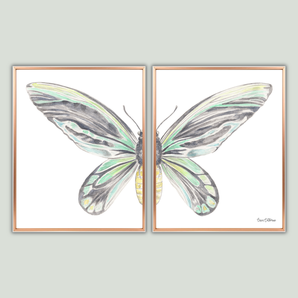 Queen Alexandra's Butterfly Print Framed Dipytich