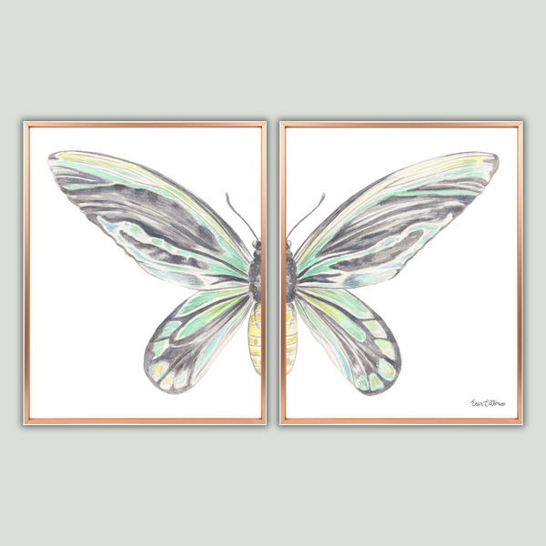 Queen Alexandra's Butterfly Print Framed Dipytich