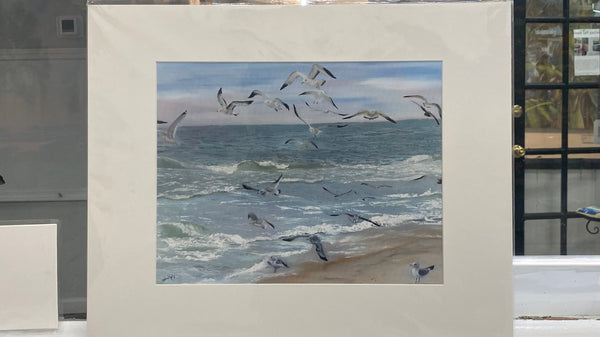Seagulls