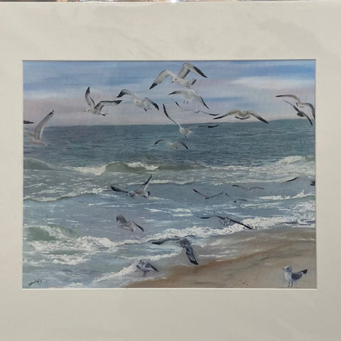 Seagulls by Sue Nichols