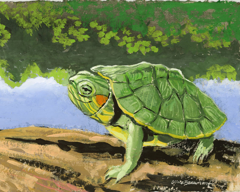 Soak up the Sun Turtle Print