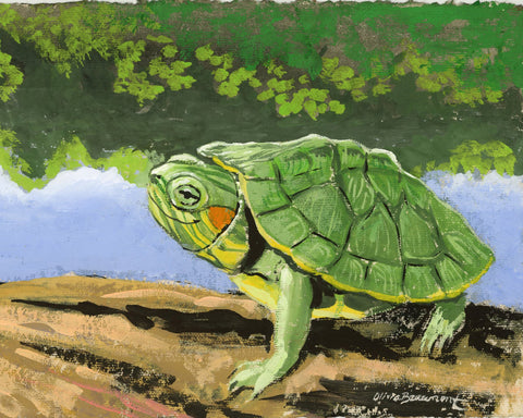 Soak up the Sun Turtle Print