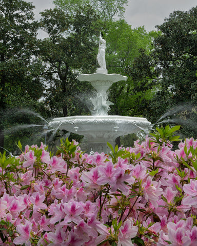 Spring at Forsyth Park Fountain