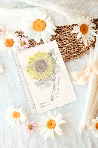 A flat-lay photograph of a vintage-style botanical artwork featuring a watercolor sunflower, surrounded by white and pink daisies, a woven straw basket, and cream-colored candles on a white textured fabric background.