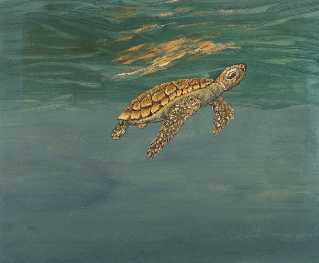 Turtles Swim