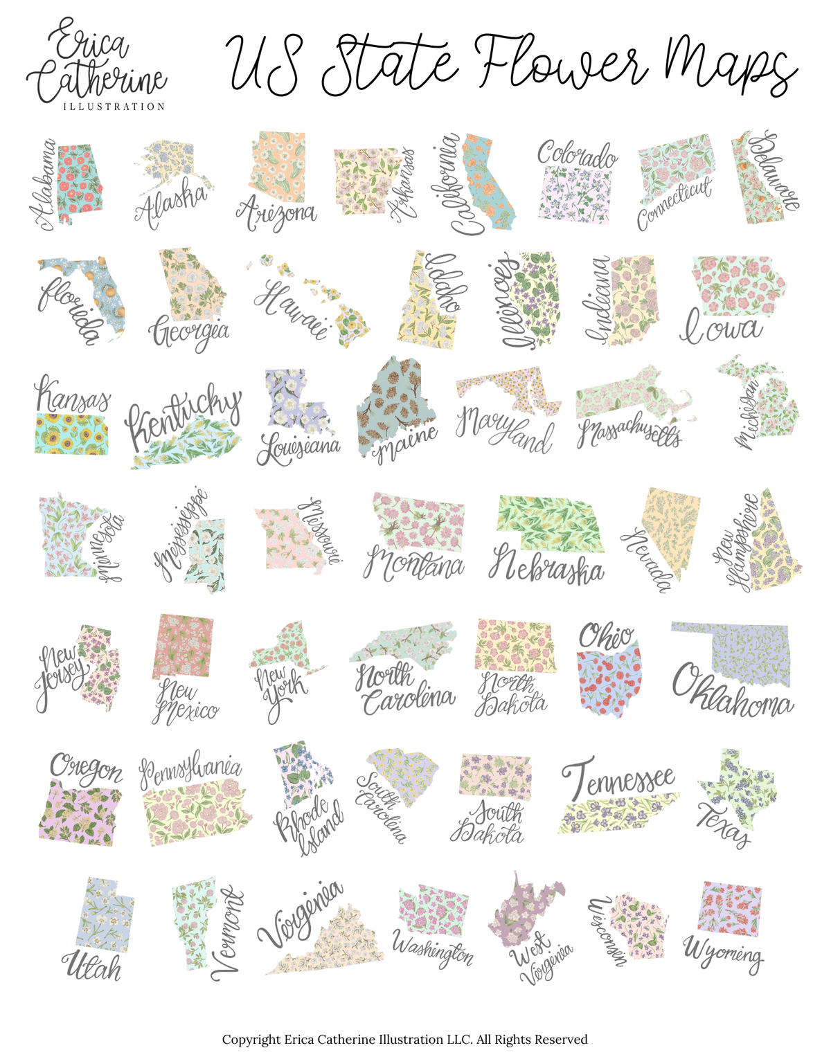 US State Flower Maps illustration by Erica Catherine Illustration on a white background