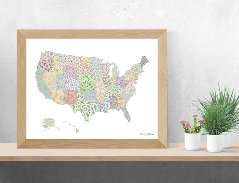 Framed map of the United States with floral patterns on a wall above a shelf with plants.
