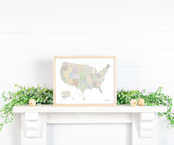 Framed map of the United States on a white surface with greenery