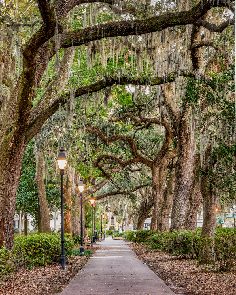 Walk thru Forsyth Park