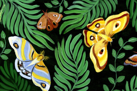 Woodland Moths Print