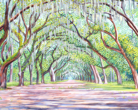 Wormsloe Print