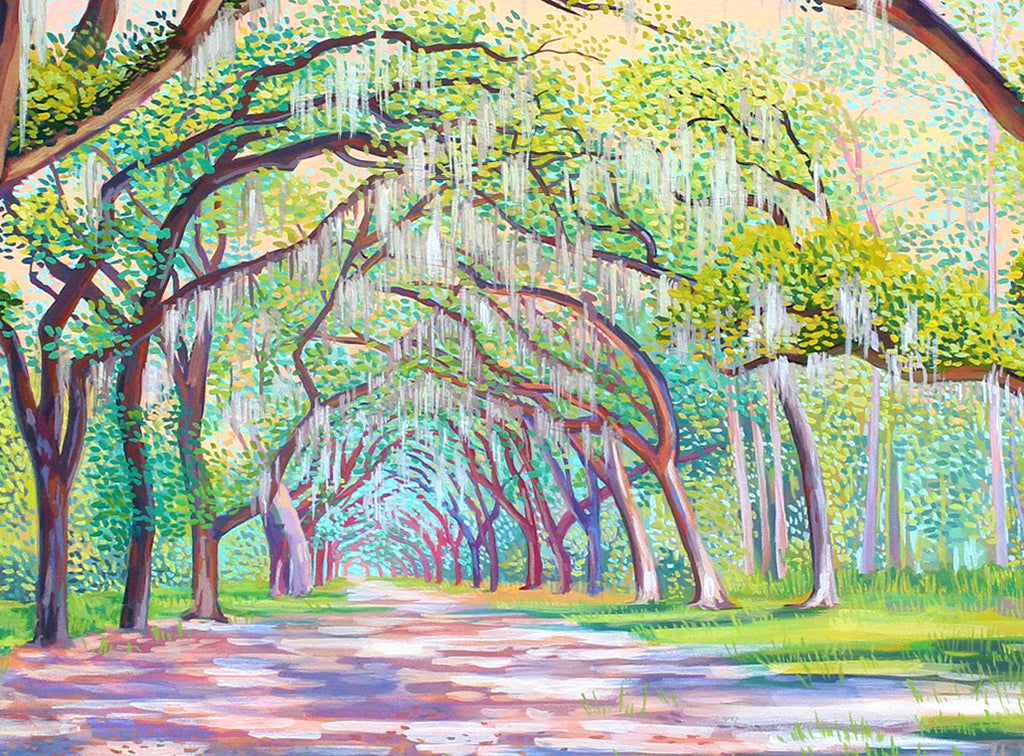 Wormsloe Sunset Print