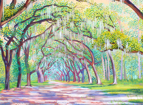 Wormsloe Sunset Print