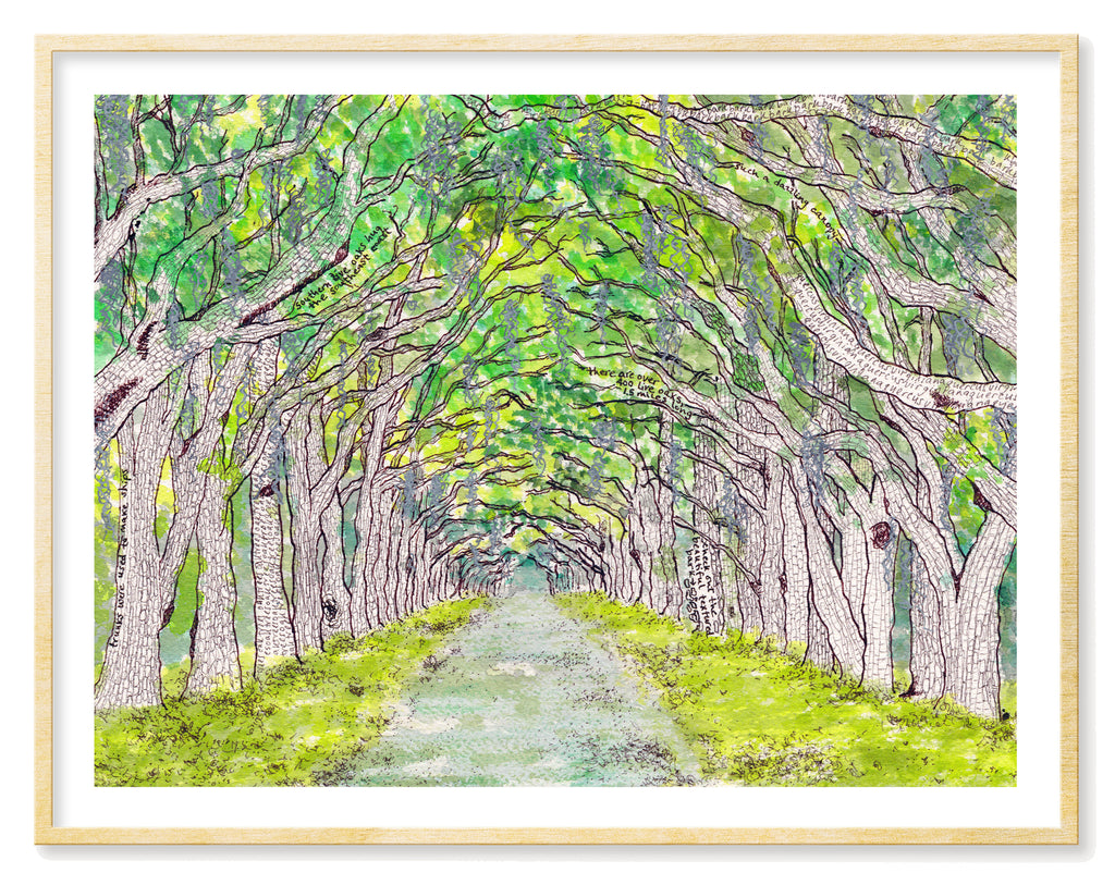 Wormsloe - Art Print