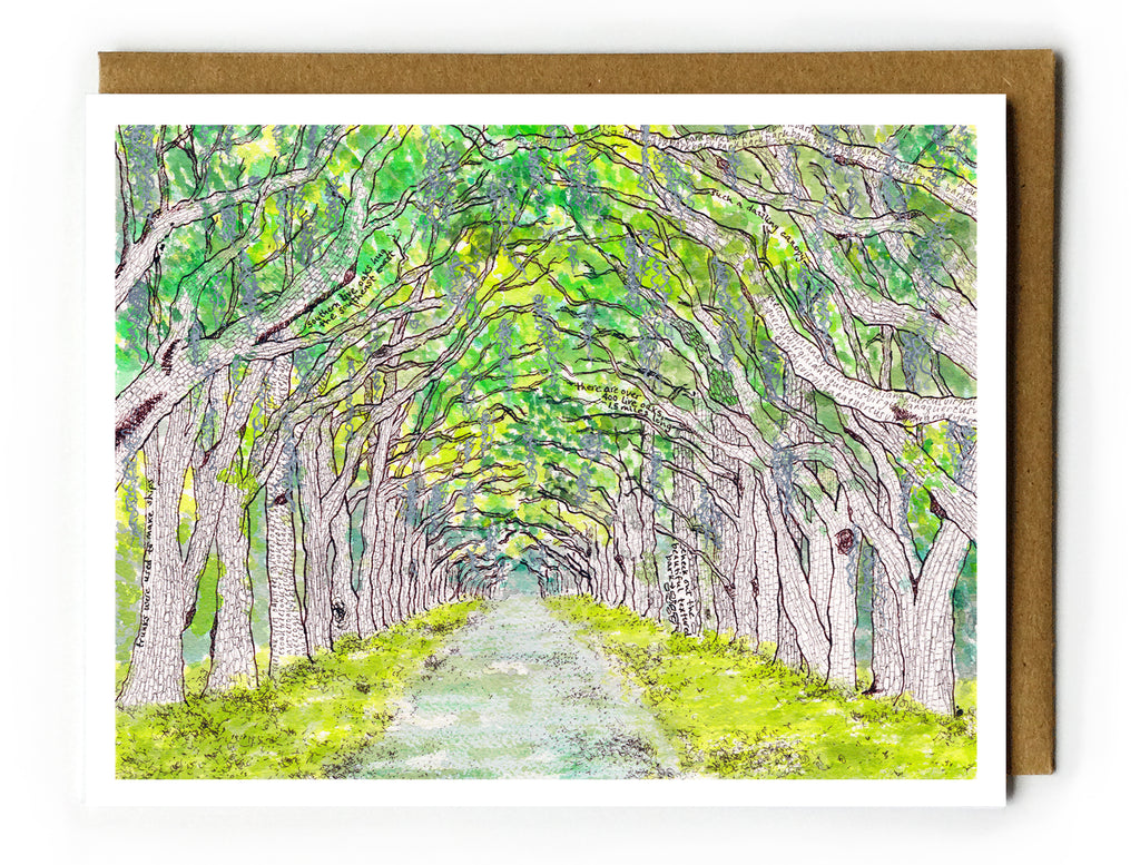 Wormsloe - Boxed Card Set