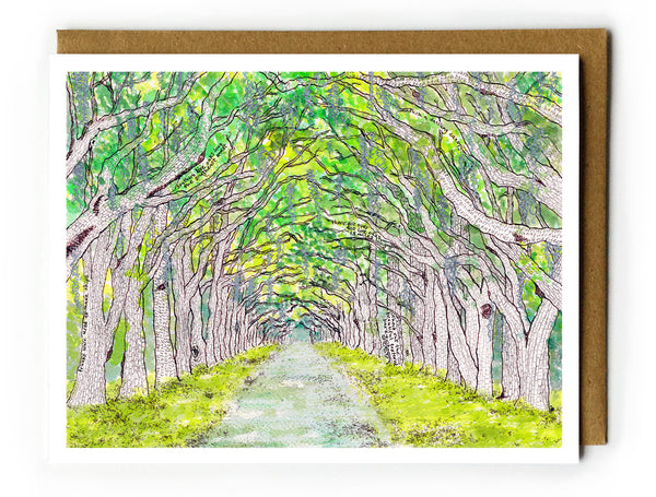Wormsloe - Boxed Card Set