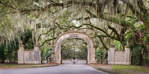 Wormsloe Historic Site, Savannah