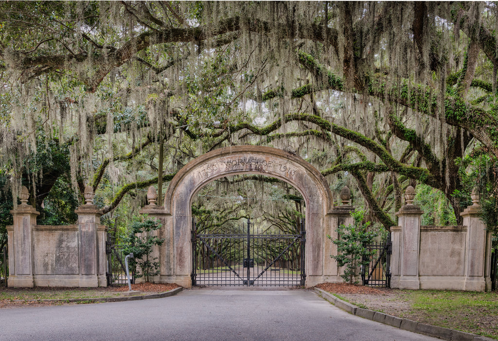 Wormsloe Gate by Kenny Nobles Gallery 209