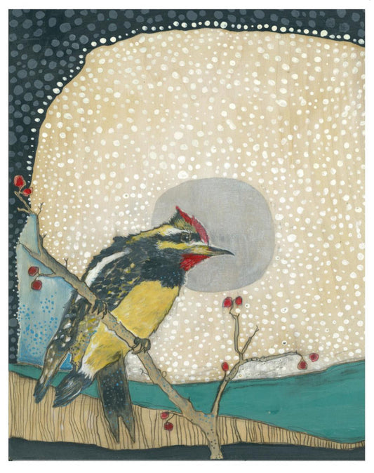 Yellow Bellied Sap Sucker Silver Moon