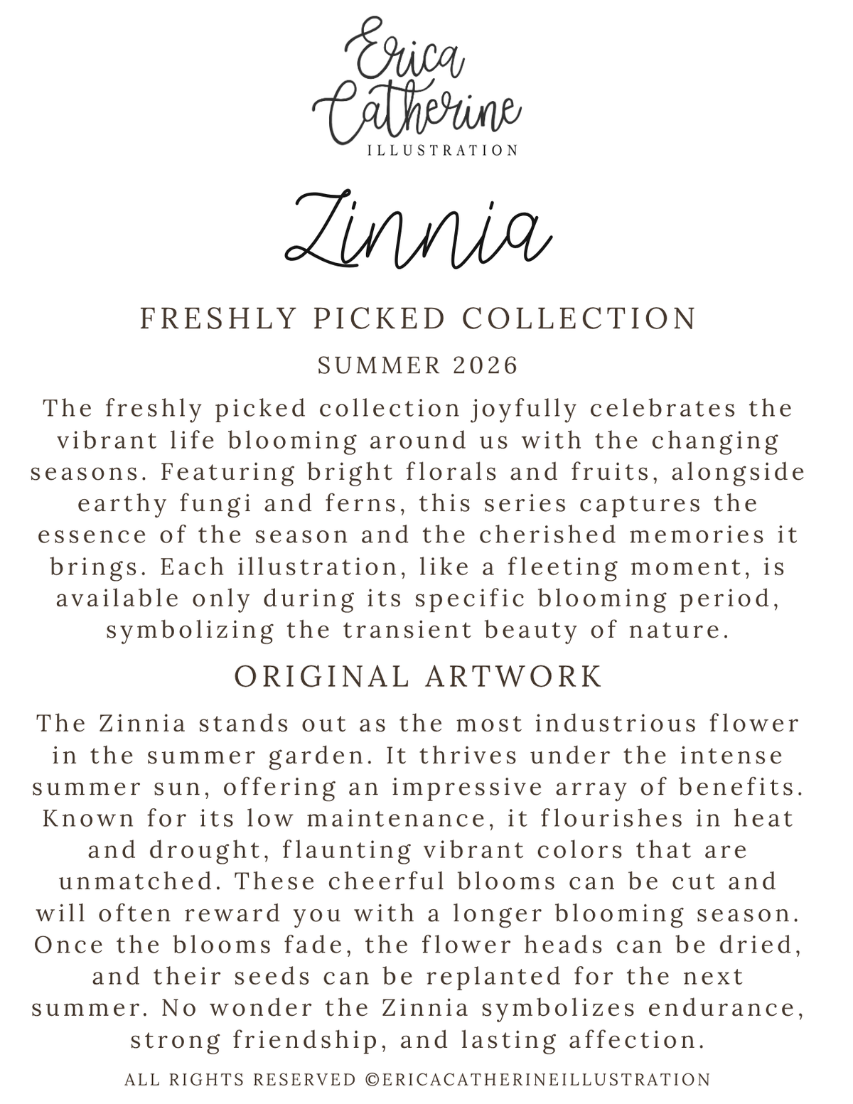 A digital preview of a botanical art print titled 'Zinnia' by Erica Catherine Illustration, featuring descriptive text for the 'Freshly Picked Collection' and 'Original Artwork' on a solid white background.