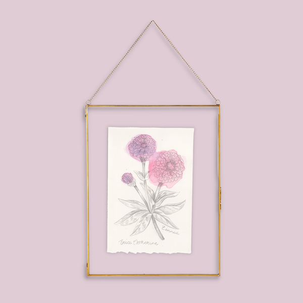 A gold-framed botanical art print featuring pink and purple Zinnia flowers on a white background, suspended by a thin gold chain against a solid light pink wall.