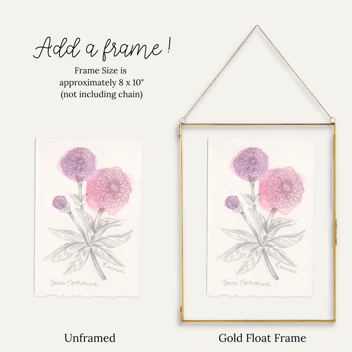 A product comparison graphic showing a Zinnia floral art print in two frame options: an unframed version on the left and a gold float frame with hanging chain on the right. Text at the top reads 'Add a frame!' and 'Frame Size is approximately 8 x 10" (not including chain)'.