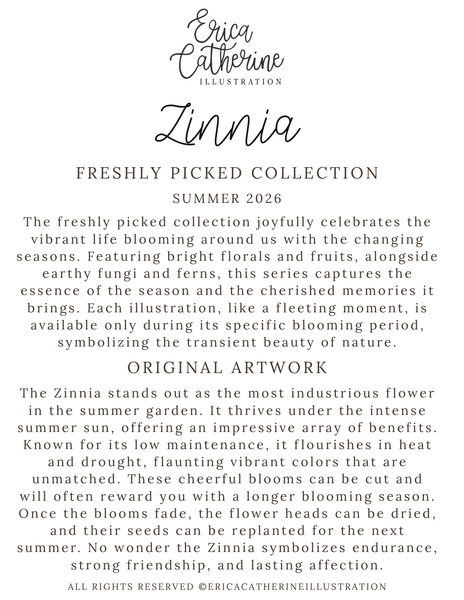 A digital preview of a botanical art print titled 'Zinnia' by Erica Catherine Illustration, featuring descriptive text for the 'Freshly Picked Collection' and 'Original Artwork' on a solid white background.