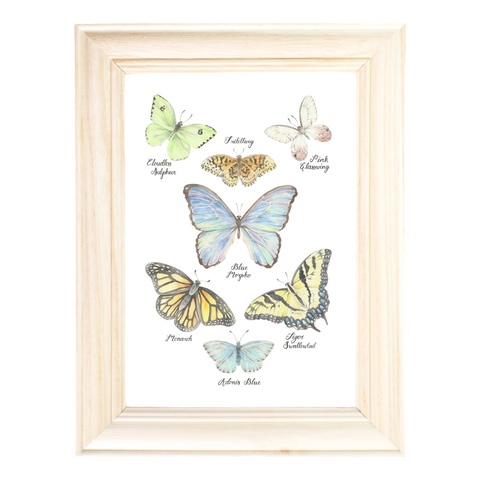 Butterfly Collection Art Print by Erica Catherine Gallery 209