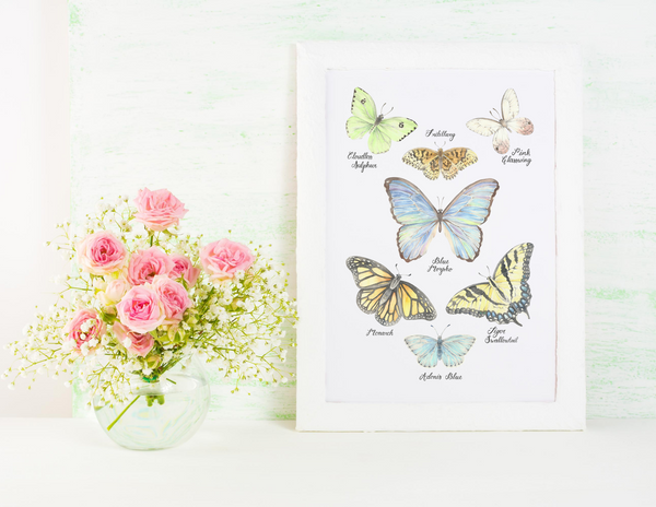 Butterfly Collection Art Print by Erica Catherine Gallery 209